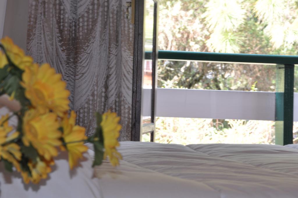 Campos do Jordão Hotel Vila Regina מראה חיצוני תמונה